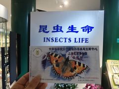 -上海昆虫博物馆