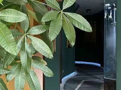 -泰悠谷养生SPA(世茂商业街店)