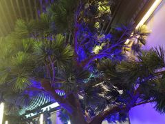 -绿茶餐厅(成都大悦城店)