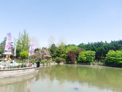 -嘉定紫藤园