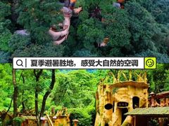 -天门沟九州驿站树上汤泉