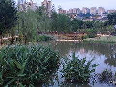 -沐仙湖湿地公园