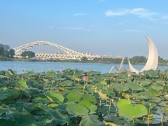 -澹台湖公园