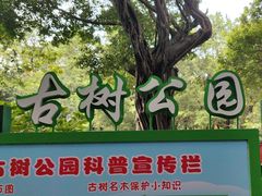 -晓港公园
