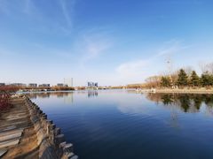 -大兴滨河森林公园