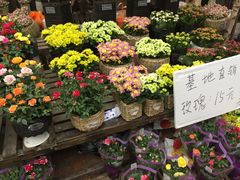 -秦美花卉(天朗·莱茵小城2期店)