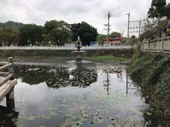 -红山村