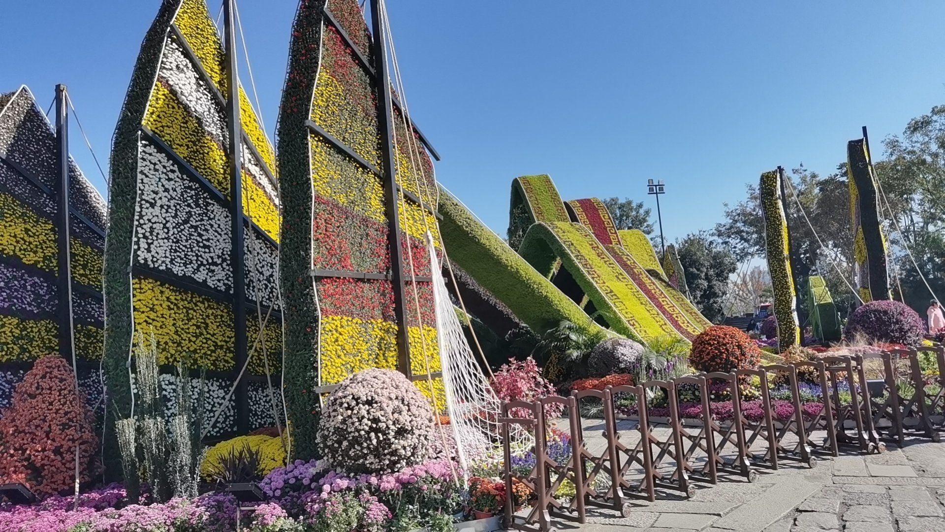 2023锡惠公园菊展