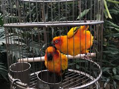 -南宫五洲植物乐园