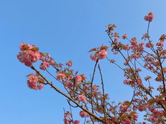 -东方绿舟景区