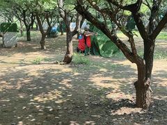 -亲兄弟真人CS团建拓展基地