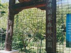 -北京鹫峰国家森林公园