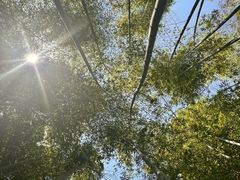 -陶祖圣境风景区