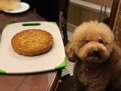 -畜牧兽医站(共江路店)