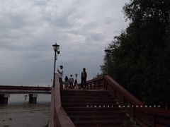 -宝安西湾红树林湿地公园