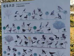 -同里国家湿地公园