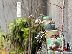 -荔湾湖公园