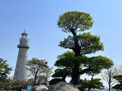 -悦海公园