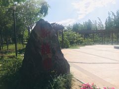 -武清南湖绿博园