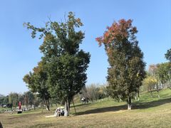 -白鹭湾湿地公园