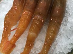 -银子铁板烧料理自助餐(人民广场店)
