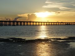 -宝安西湾红树林湿地公园