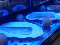 -万悦格兰云天大酒店-西餐厅