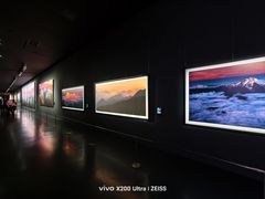 -罗红摄影艺术馆