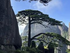 -黄山风景区