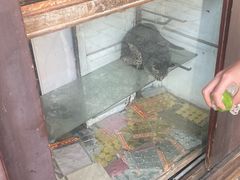 -文魁斋