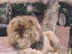 -深圳野生动物园宠物医院(西湖林语店)