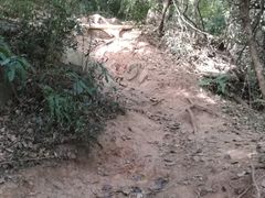 -杭州半山国家森林公园