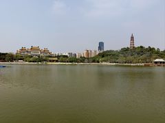 -顺峰山公园