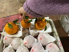 -菜园坝水果市场