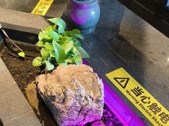 -東大方(武康千秋广场店)