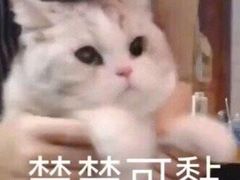 -赵奶奶水饺锅贴小酒馆(丁字沽店)