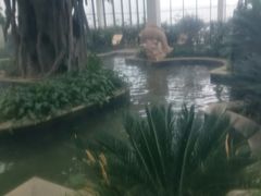 -太白山御龙湾温泉