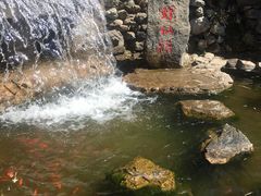 -红螺寺