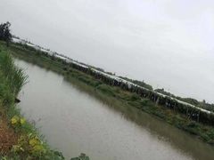 -马陆小张葡萄园农家乐