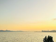 -深圳湾公园(南山区)