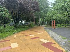 -回龙观体育文化公园