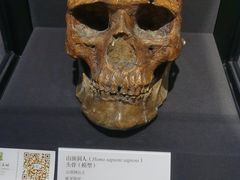 -北京周口店北京人遗址博物馆