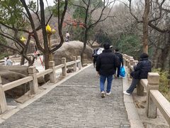 -灵岩山风景区
