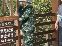 -野象谷景区