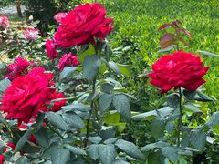 -国家植物园南园