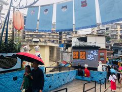 -猫咪博物馆(顶澳仔猫街店)