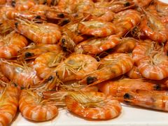 白灼基围虾-鹏天阁酒楼·海鲜(红旗店)