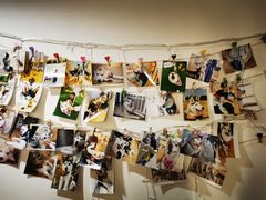 -Husky Go! 哈士奇体验馆·宠物咖啡厅狗咖