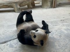 -杭州野生动物世界