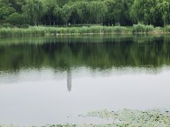 -北坞公园